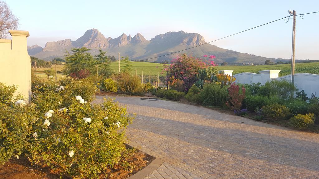 Dieu Donne Stellenbosch Bagian luar foto