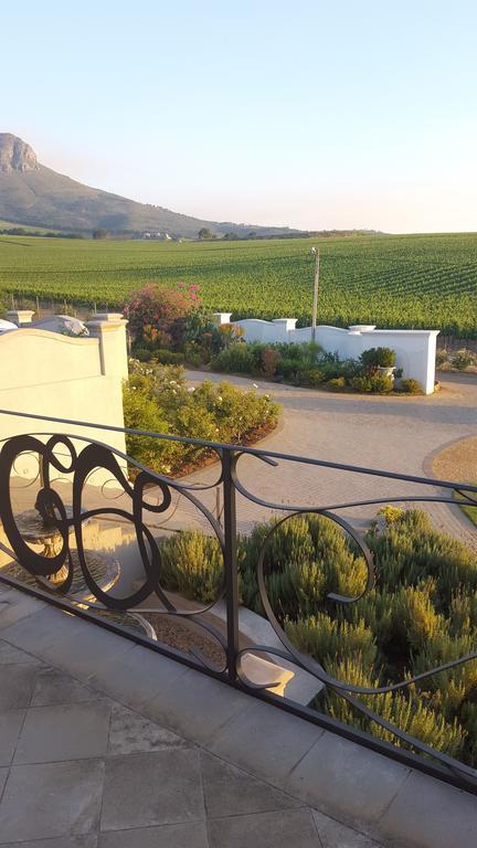 Dieu Donne Stellenbosch Bagian luar foto