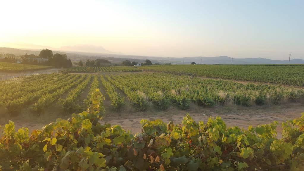 Dieu Donne Stellenbosch Bagian luar foto